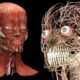 Medical Training with 3D Visualization